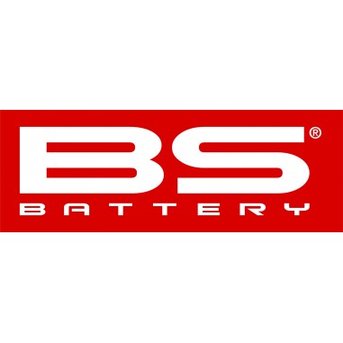 PEDIDO BODEGA BS BATTERY